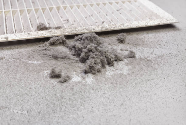 Affordable HVAC Duct Cleaning in Dana, NC