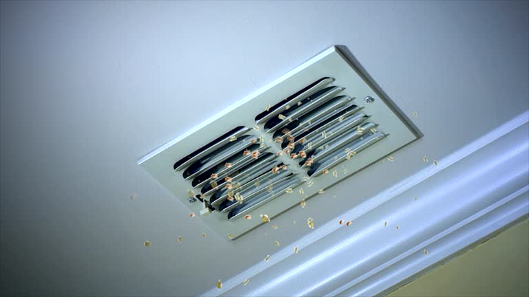 Best HVAC Duct Inspection Services  in Dana, NC