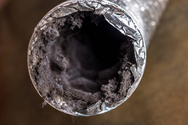 Best Air Duct Cleaning Near Me  in Dana, NC