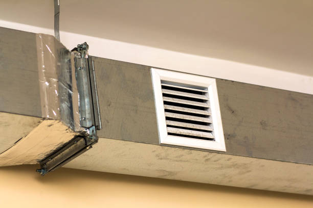 Best Best Air Duct Cleaning Company  in Dana, NC